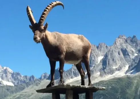Région des Alpes